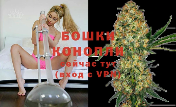 каннабис Аркадак