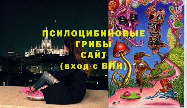 a pvp Армянск