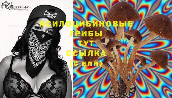 каннабис Аркадак