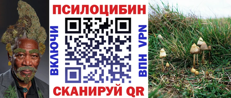 Псилоцибиновые грибы мухоморы  OMG зеркало  дарк нет как зайти  Волхов 