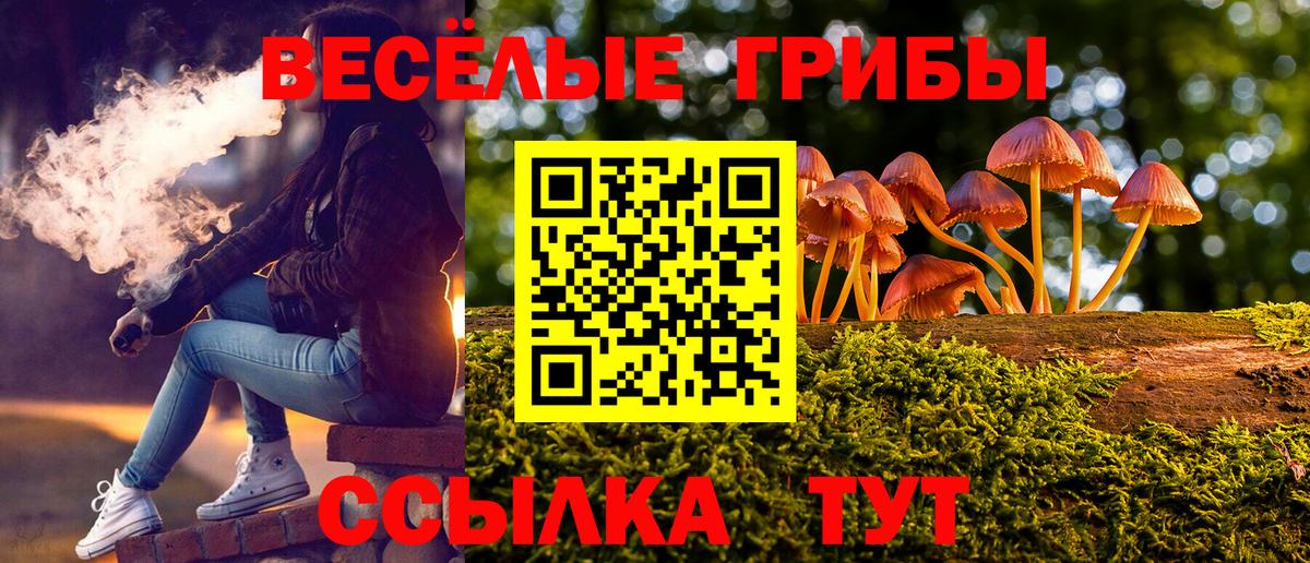 Псилоцибиновые грибы Magic Shrooms  Псилоцибиновые грибы MAGIC MUSHROOMS  Волхов  Вход с VPN 