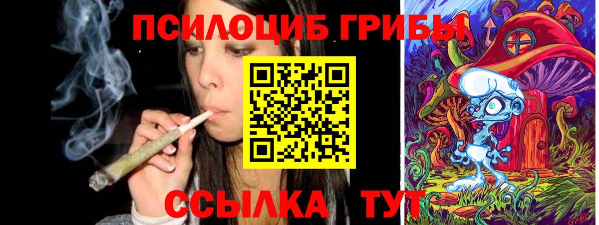 Псилоцибиновые грибы прущие грибы Волхов